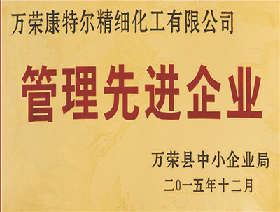 管理先进企业