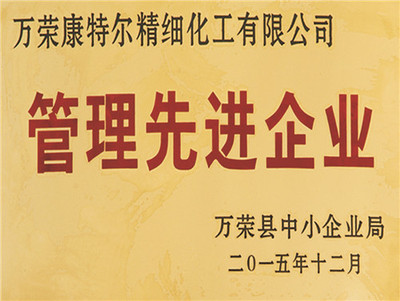 管理先进企业